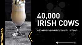 Новый вкус JENT 40.000 Irish Cows (Бейлис)