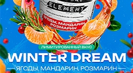 Новый вкус Element Winter Dream